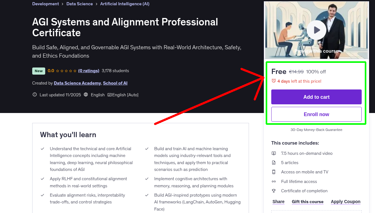 AGI Systems and Alignment Professional Certificate