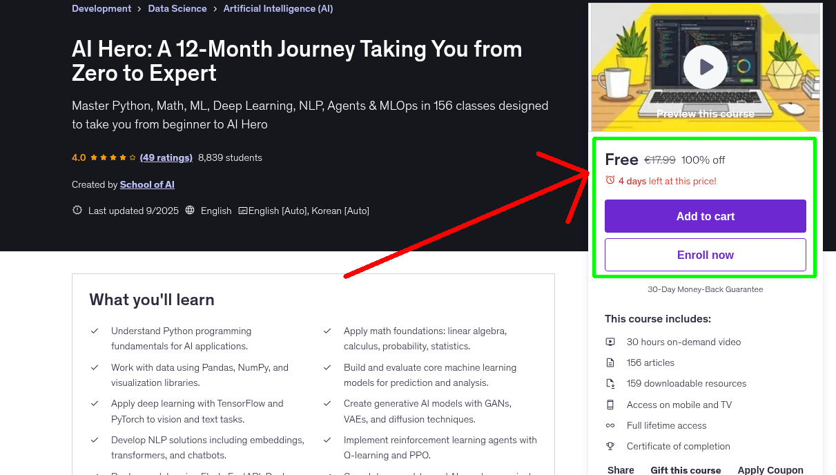 AI Hero: A 12-Month Journey Taking You from Zero to Expert