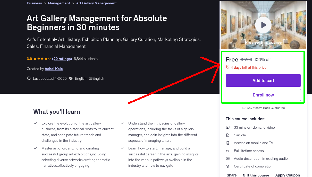 Art Gallery Management for Absolute Beginners in 30 minutes