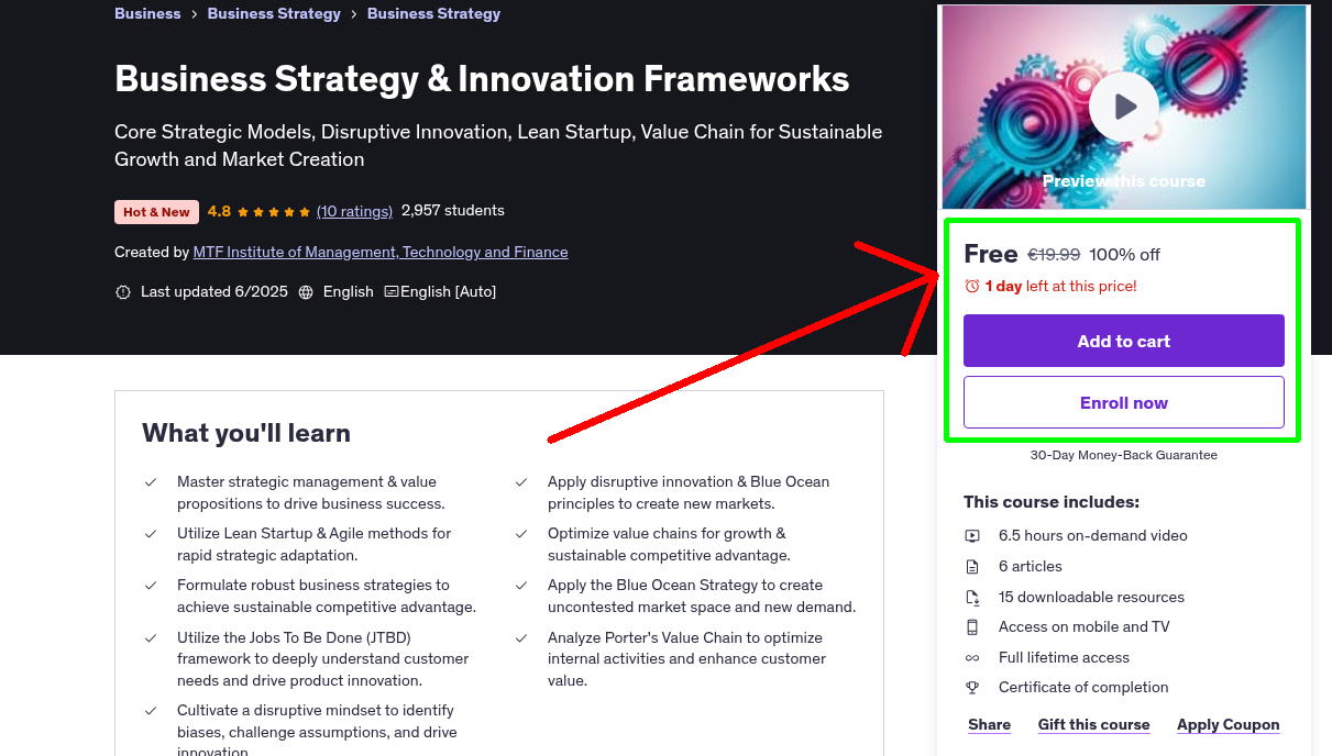Business Strategy & Innovation Frameworks