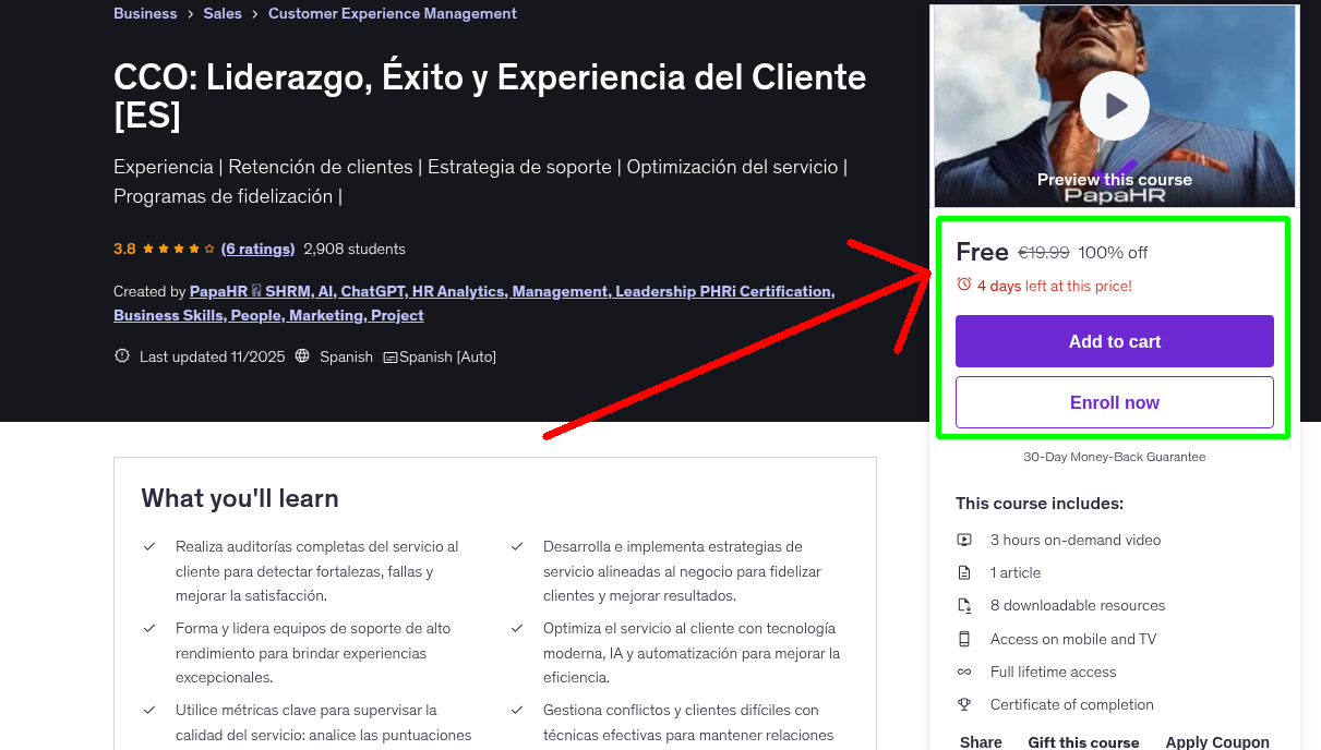 CCO: Liderazgo, Éxito y Experiencia del Cliente [ES]