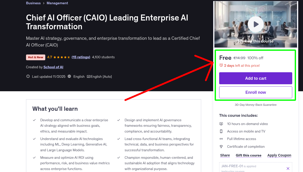 Chief AI Officer (CAIO) Leading Enterprise AI Transformation