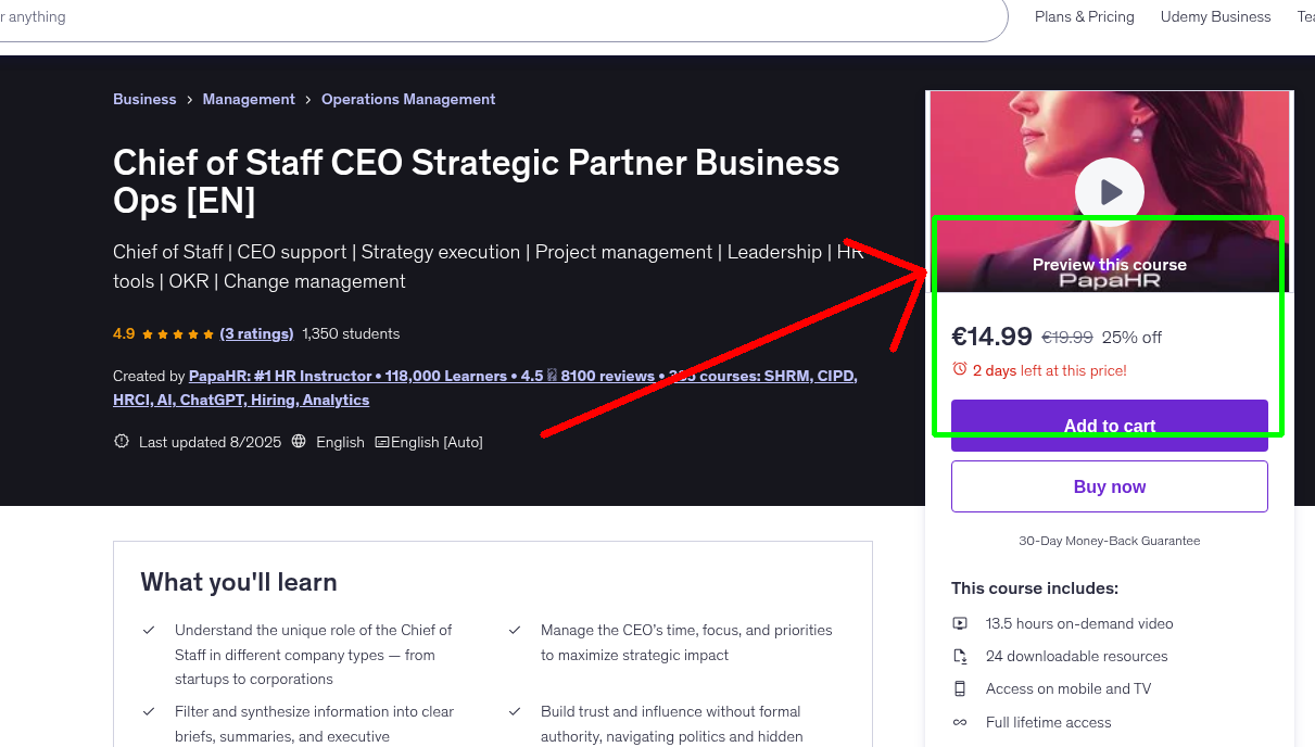 Chief of Staff CEO Strategic Partner Business Ops [EN]