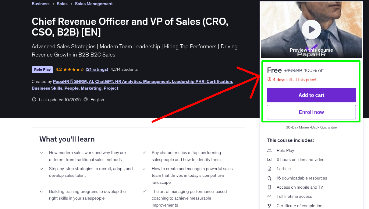Chief Revenue Officer and VP of Sales (CRO, CSO, B2B) [EN]