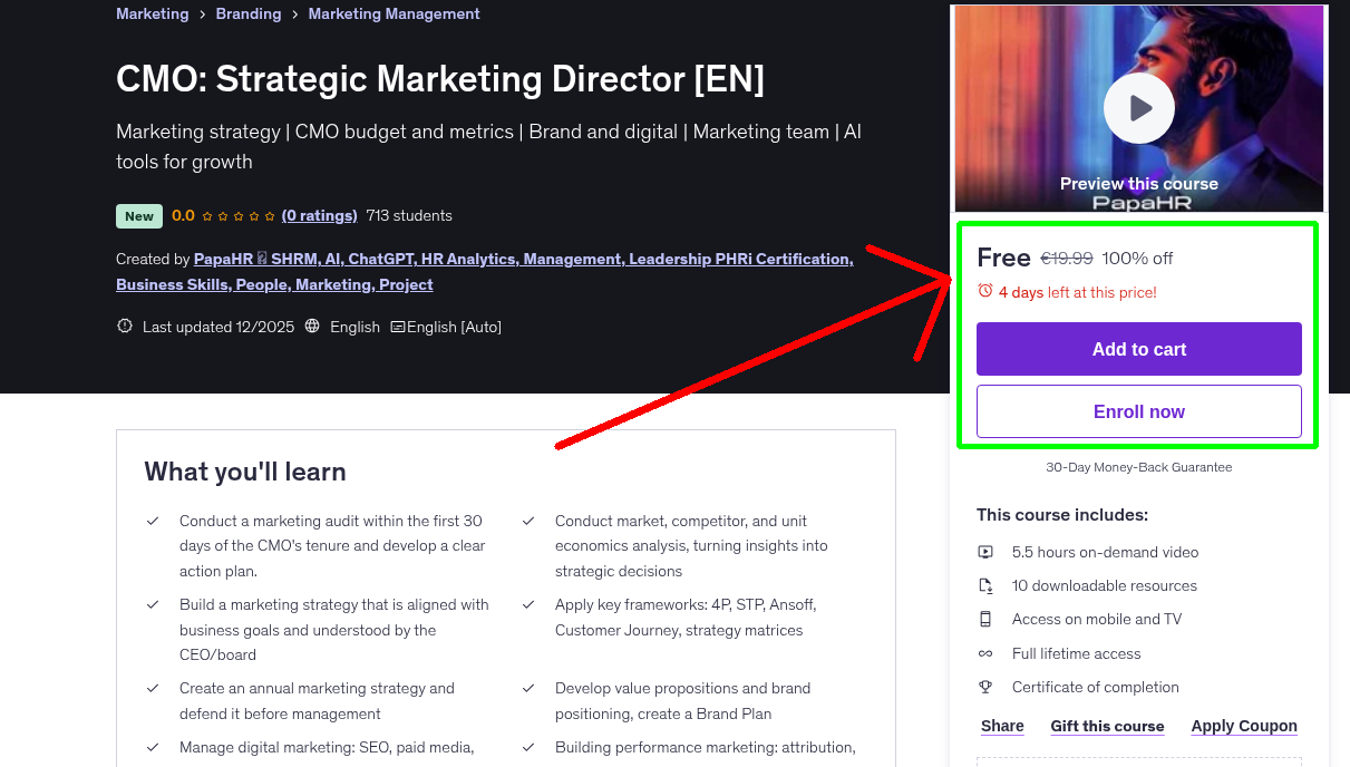 CMO: Strategic Marketing Director [EN]