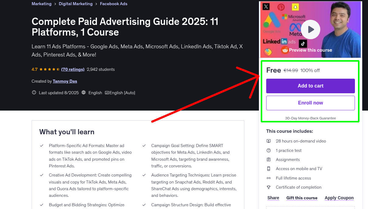 Complete Paid Advertising Guide 2025: 11 Platforms, 1 Course