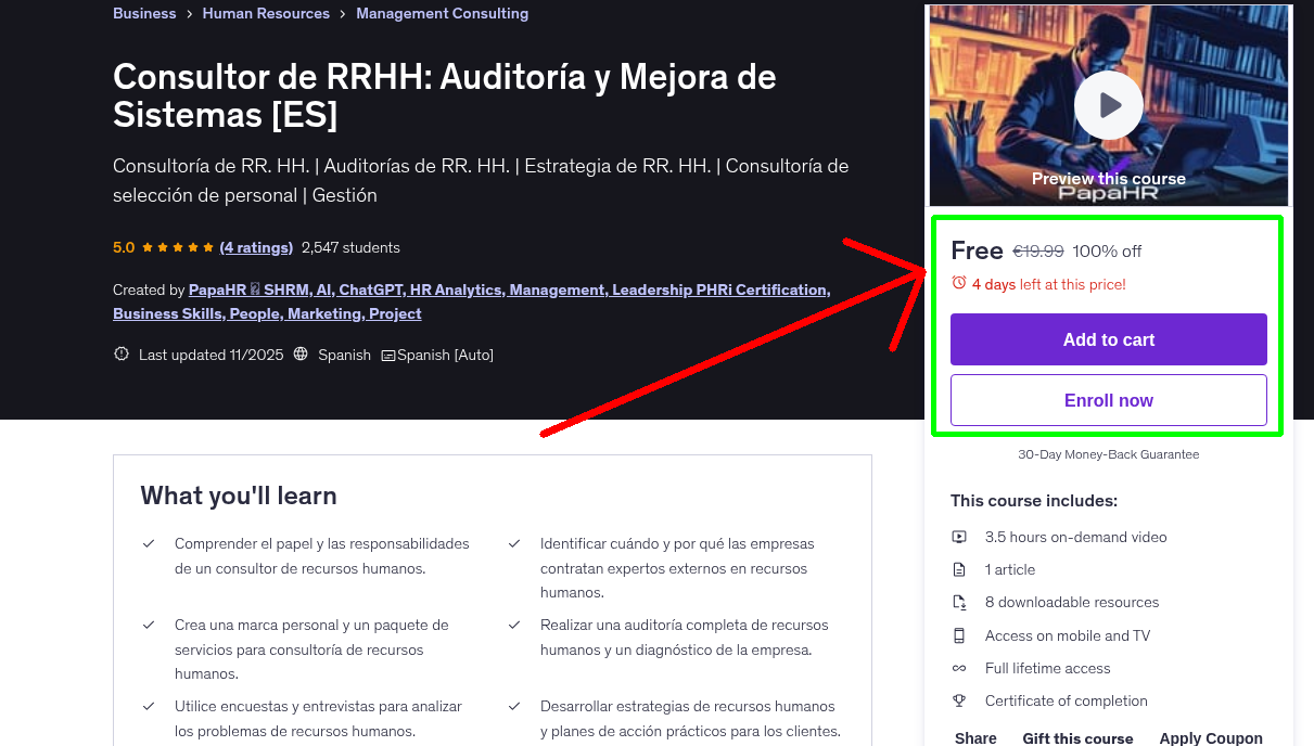 Consultor de RRHH: Auditoría y Mejora de Sistemas [ES]