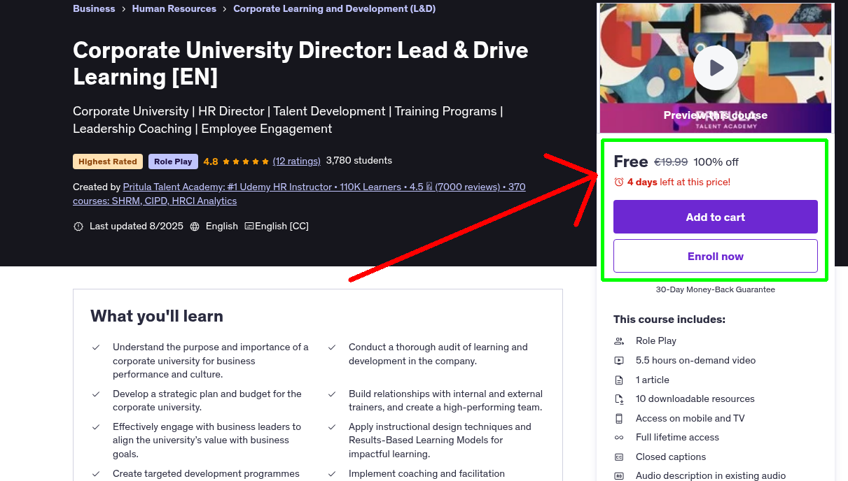 Corporate University Director: Lead & Drive Learning [EN]