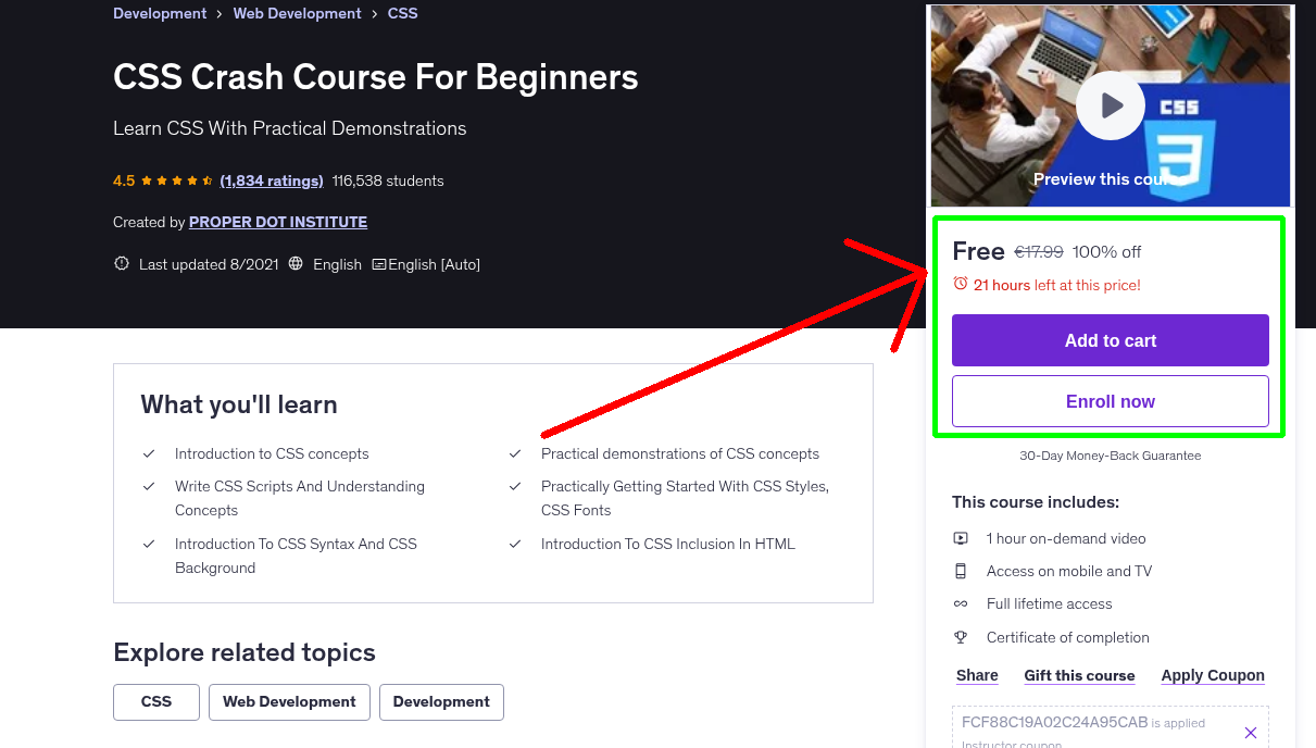 CSS Crash Course For Beginners