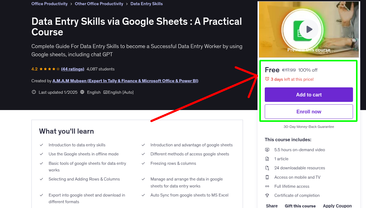 Data Entry Skills via Google Sheets : A Practical Course