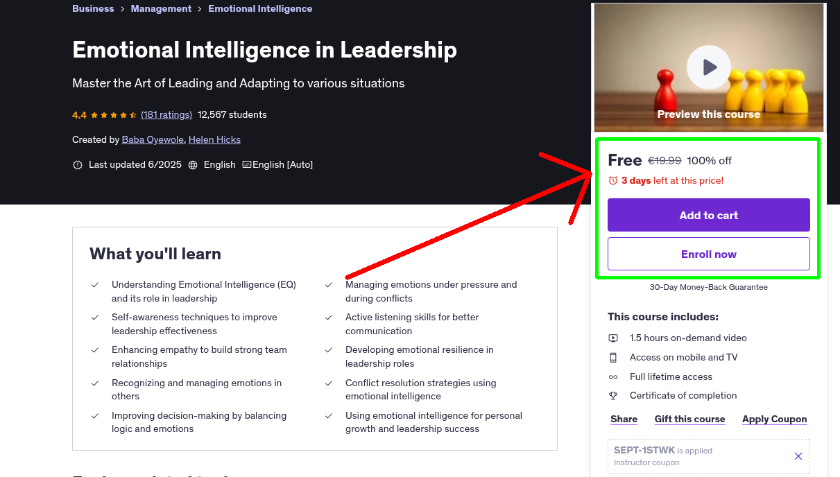 Emotional Intelligence in Leadership