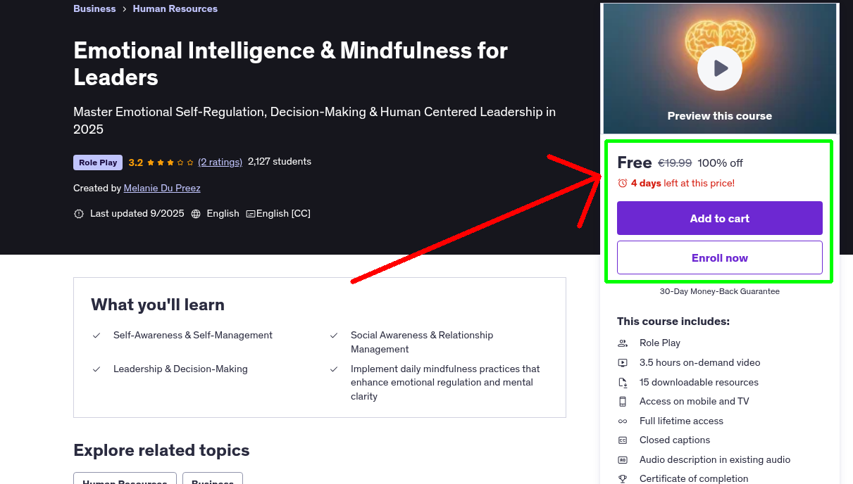 Emotional Intelligence & Mindfulness for Leaders