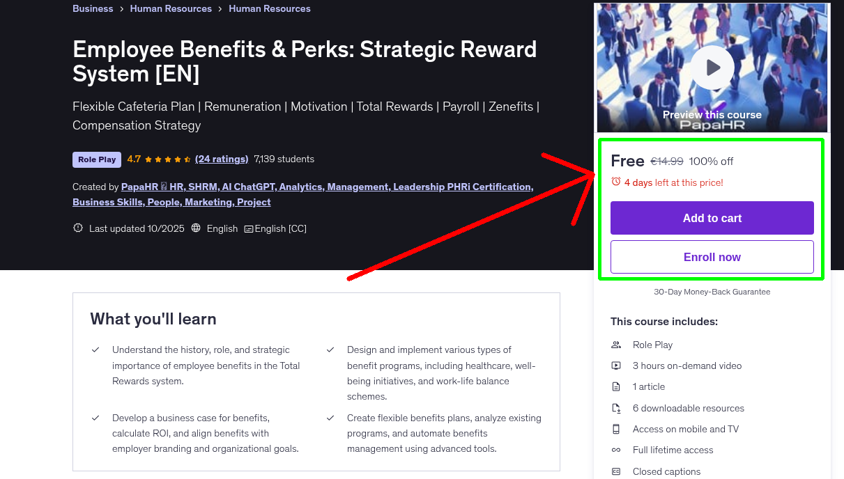Employee Benefits & Perks: Strategic Reward System [EN]