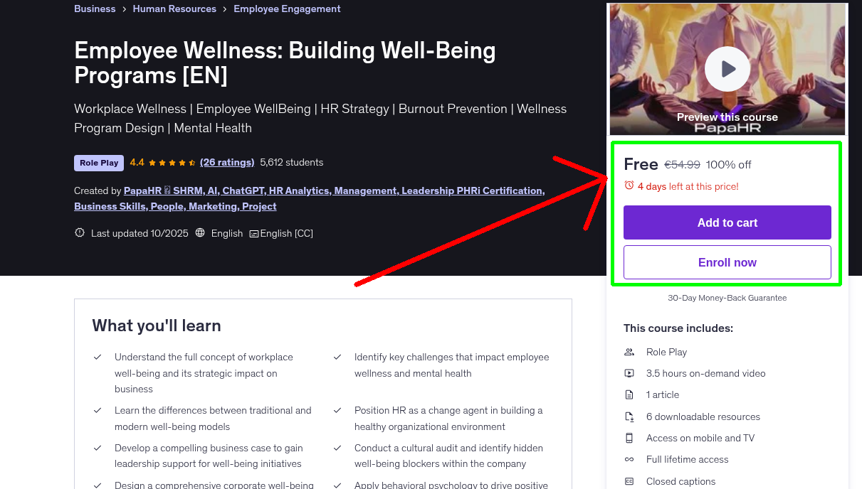 Employee Wellness: Building Well-Being Programs [EN]
