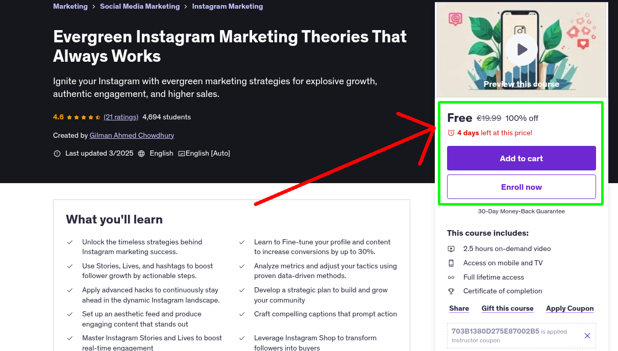 Evergreen Instagram Marketing Theories That Always Works