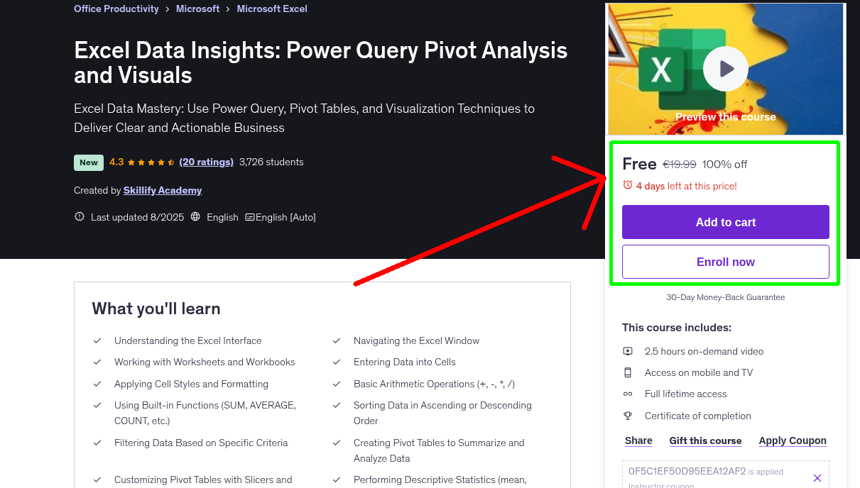 Excel Data Insights: Power Query Pivot Analysis and Visuals