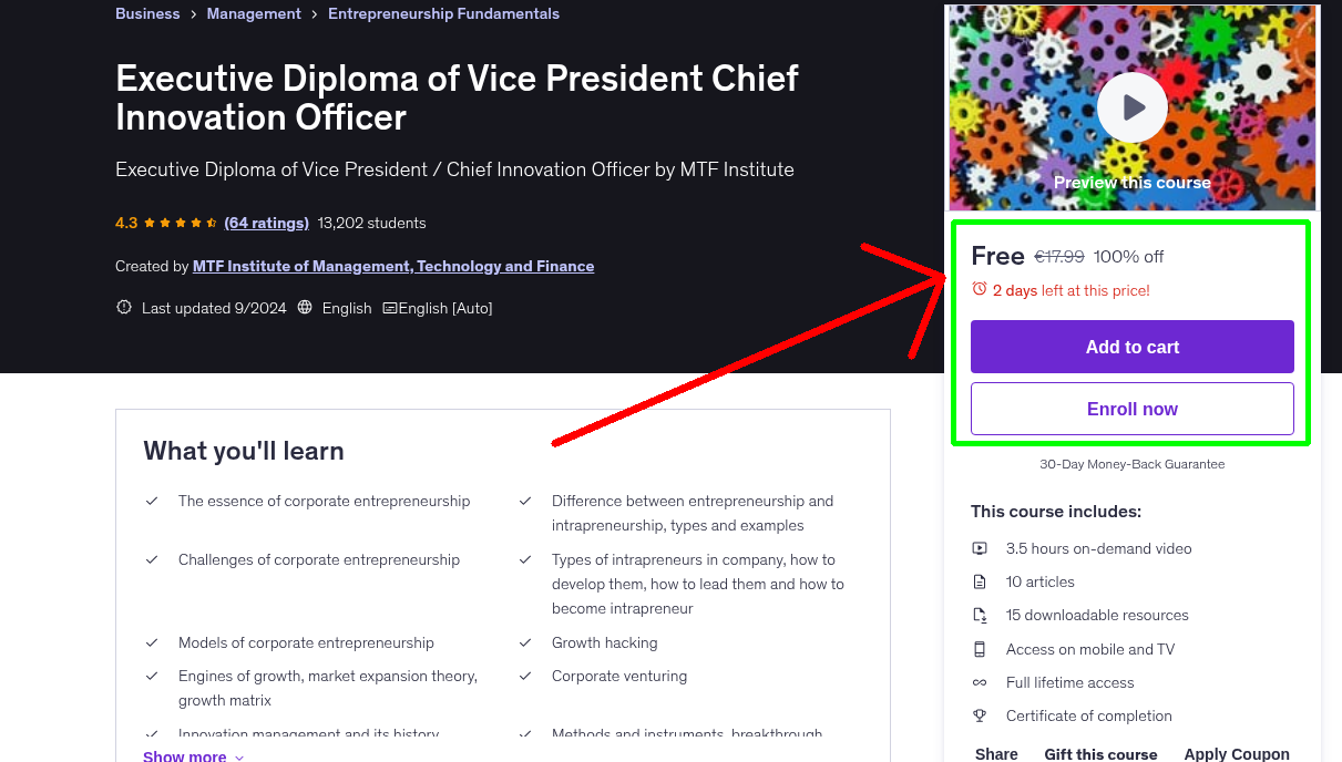 Executive Diploma of Vice President Chief Innovation Officer