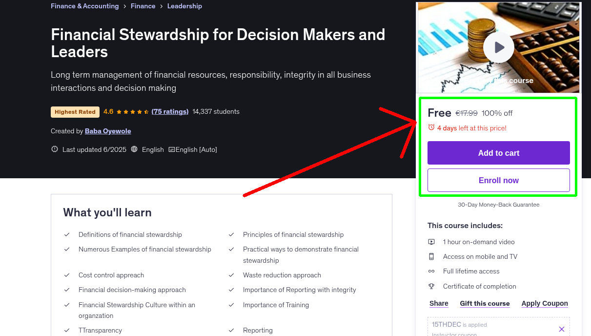Financial Stewardship for Decision Makers and Leaders