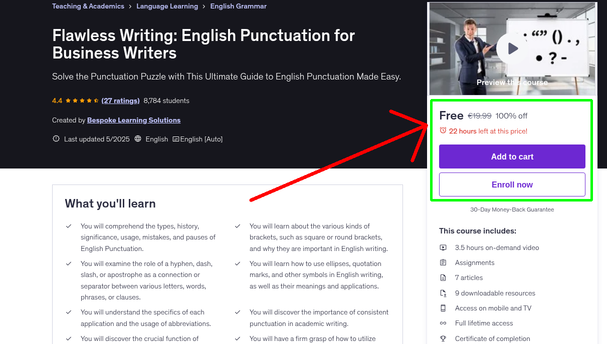 Flawless Writing: English Punctuation for Business Writers