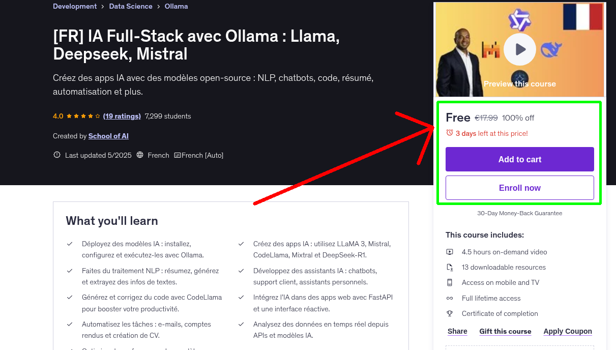 [FR] IA Full-Stack avec Ollama : Llama, Deepseek, Mistral