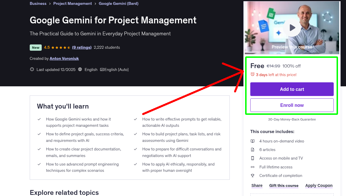 Google Gemini for Project Management