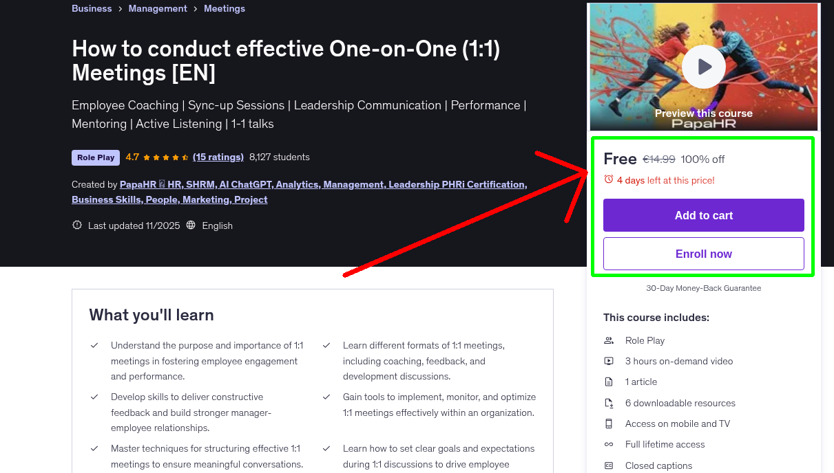 How to conduct effective One-on-One (1:1) Meetings [EN]