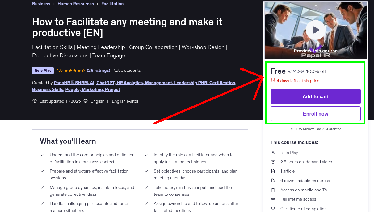 How to Facilitate any meeting and make it productive [EN]