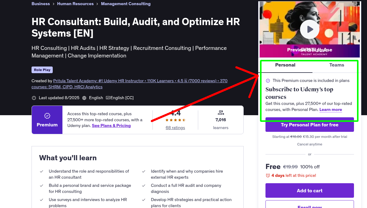 HR Consultant: Build, Audit, and Optimize HR Systems [EN]