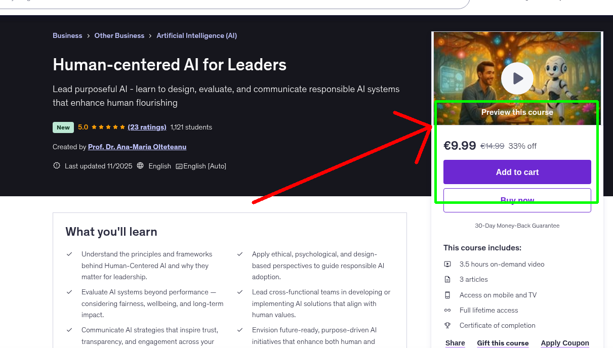 Human-centered AI for Leaders