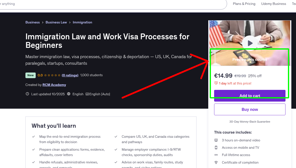 Immigration Law and Work Visa Processes for Beginners