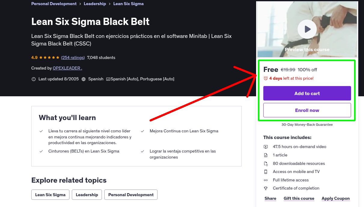 Lean Six Sigma Black Belt