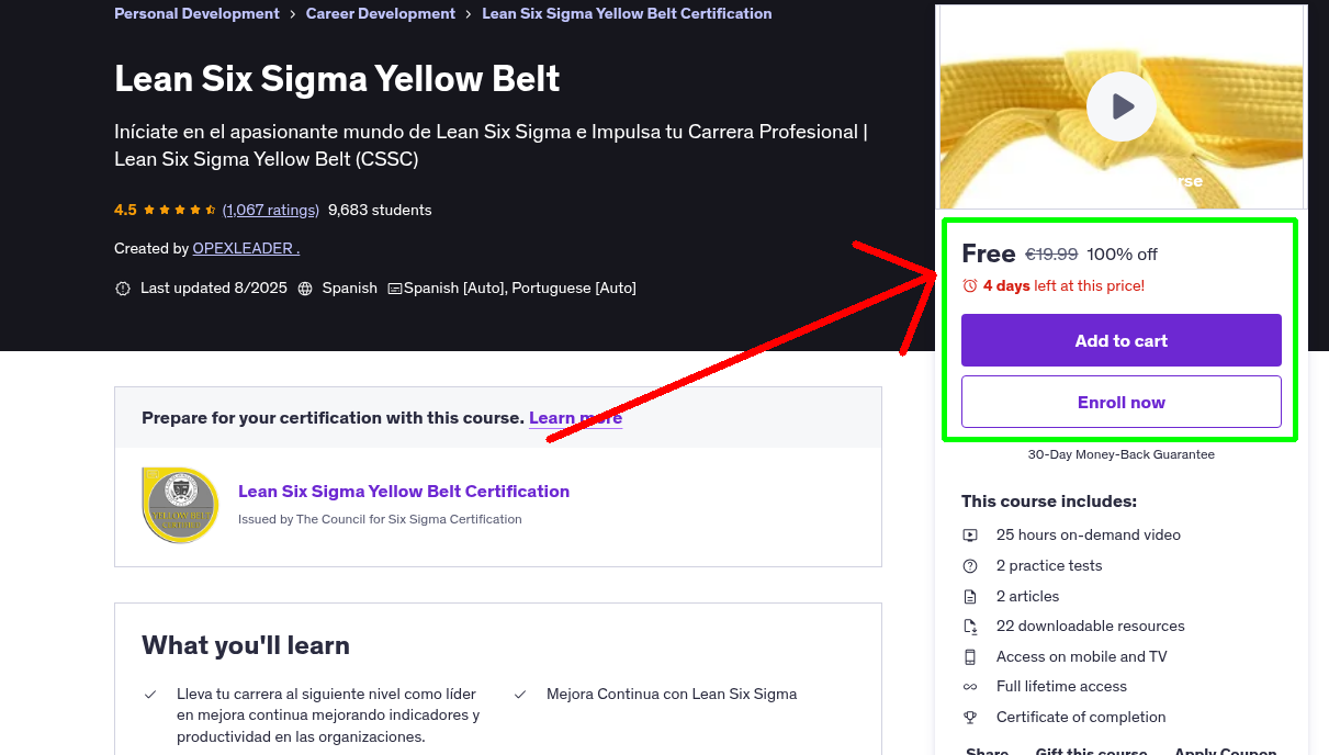 Lean Six Sigma Yellow Belt
