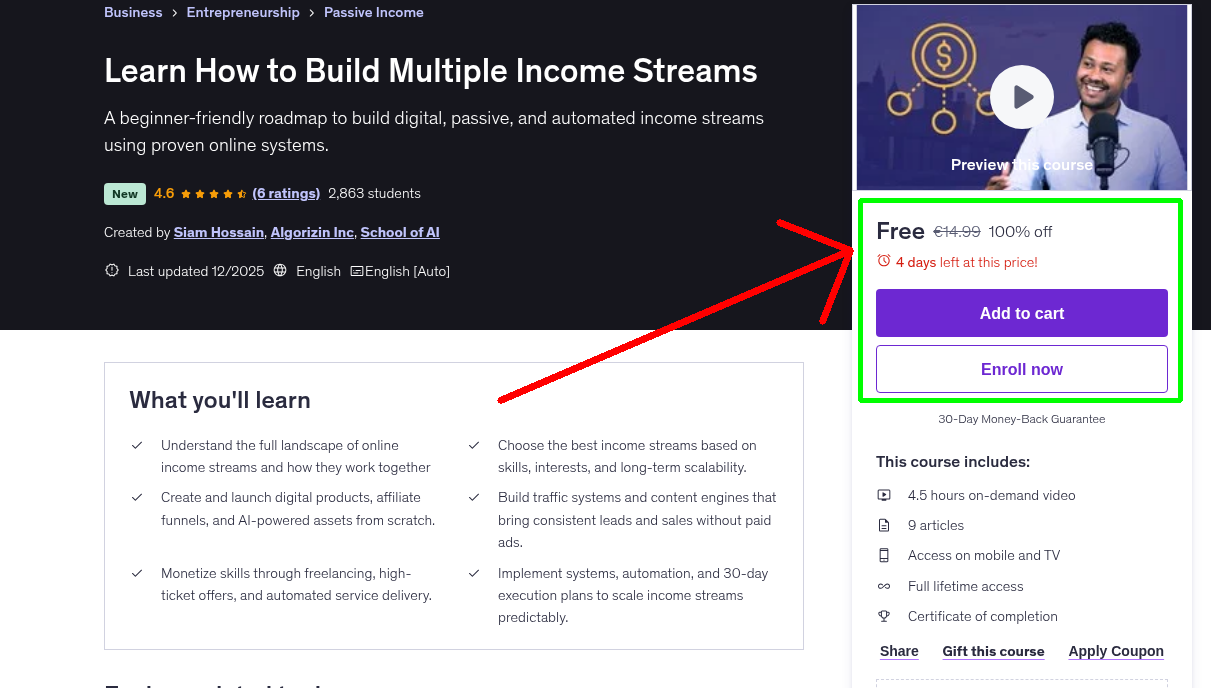 Learn How to Build Multiple Income Streams
