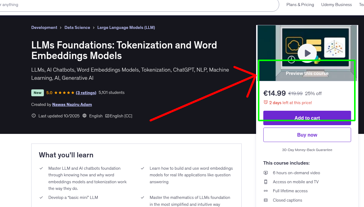 LLMs Foundations: Tokenization and Word Embeddings Models