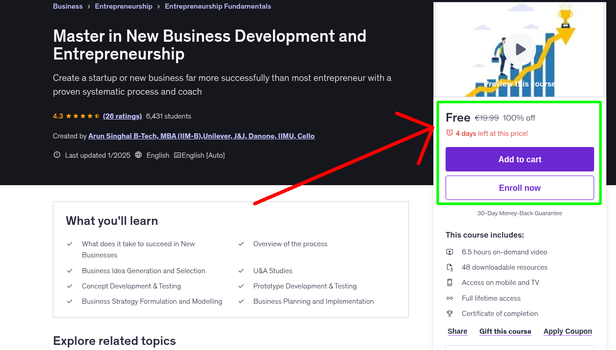 Master in New Business Development and Entrepreneurship