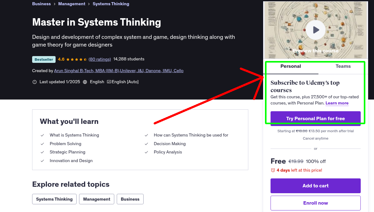 Master in Systems Thinking
