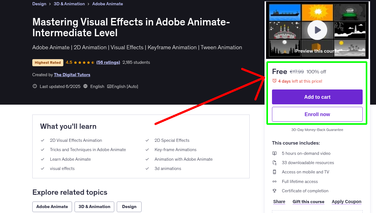 Mastering Visual Effects in Adobe Animate-Intermediate Level