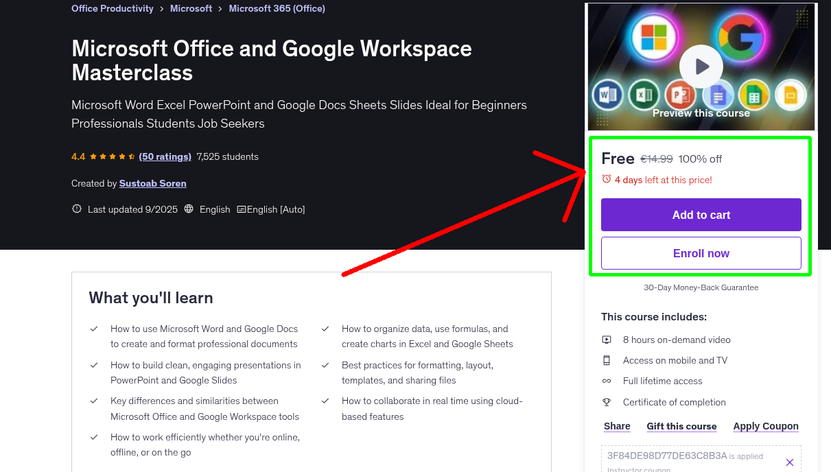 Microsoft Office and Google Workspace Masterclass