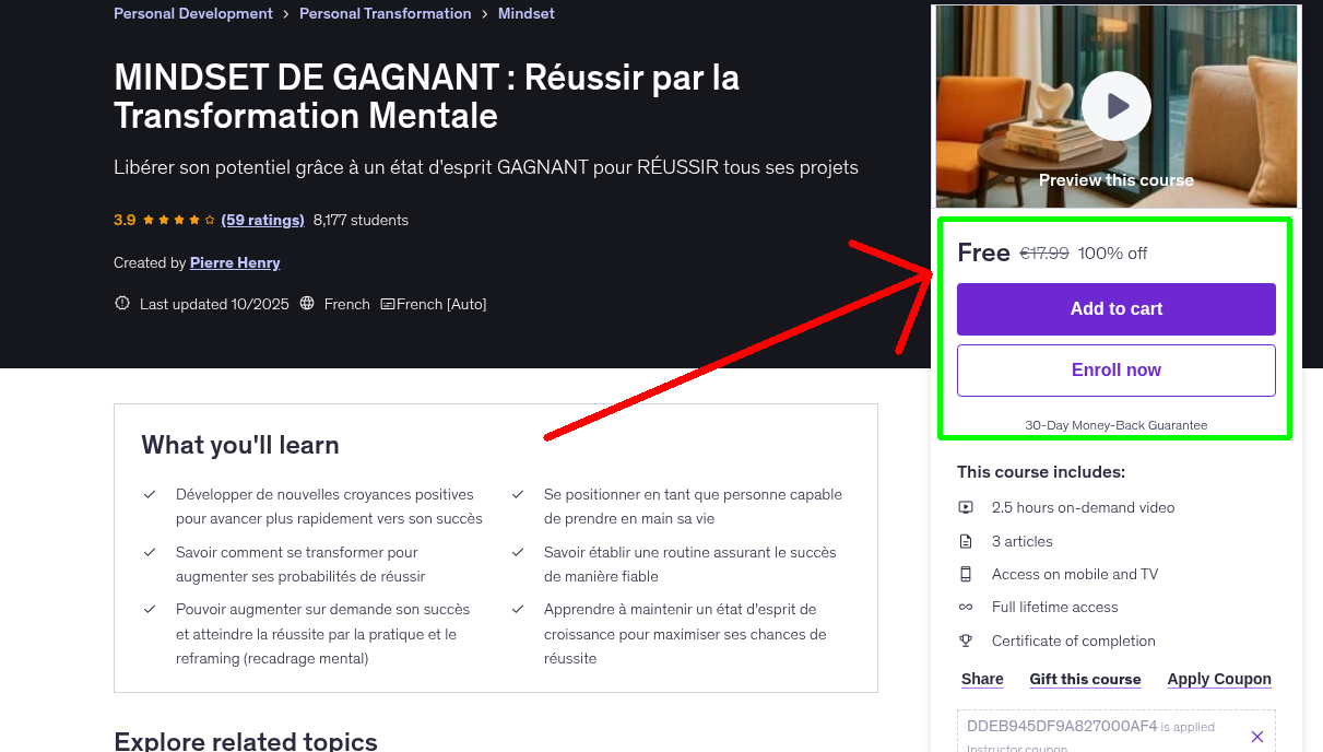 MINDSET DE GAGNANT : Réussir par la Transformation Mentale
