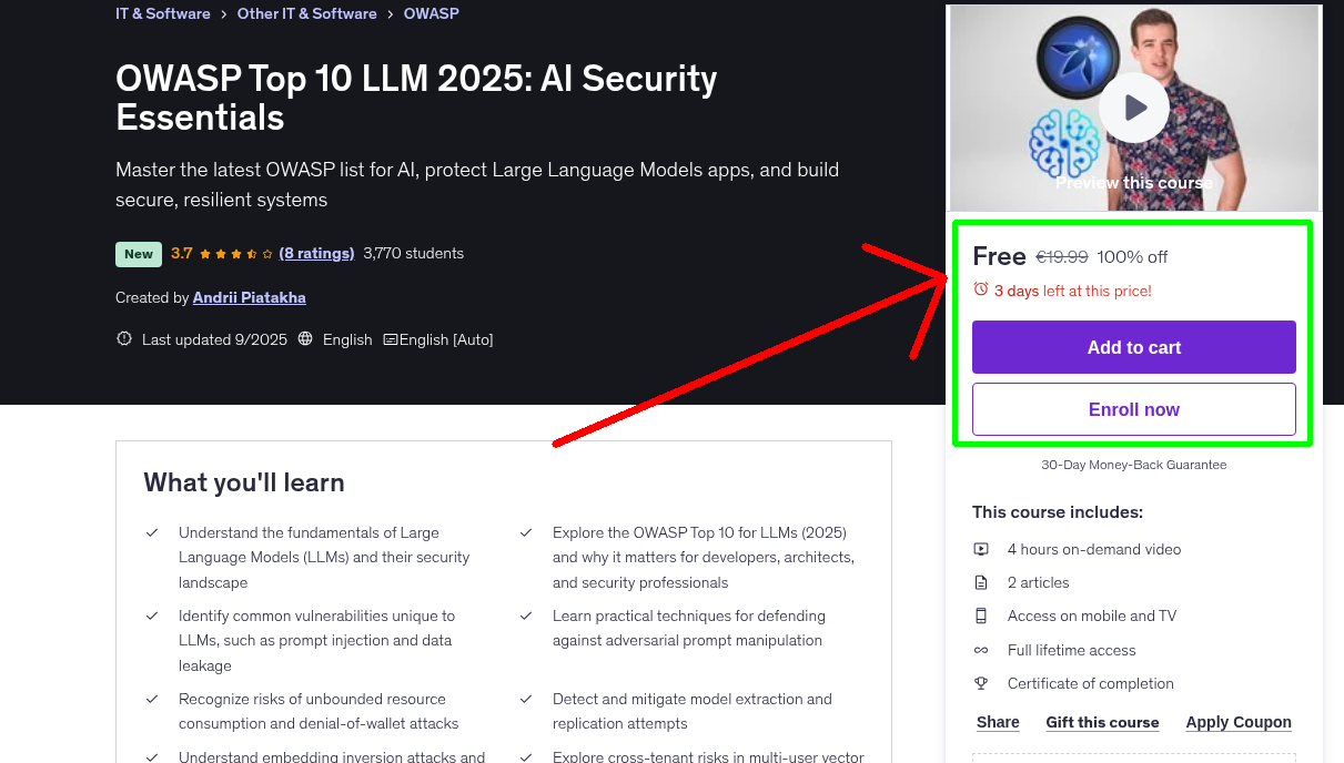 OWASP Top 10 LLM 2025: AI Security Essentials