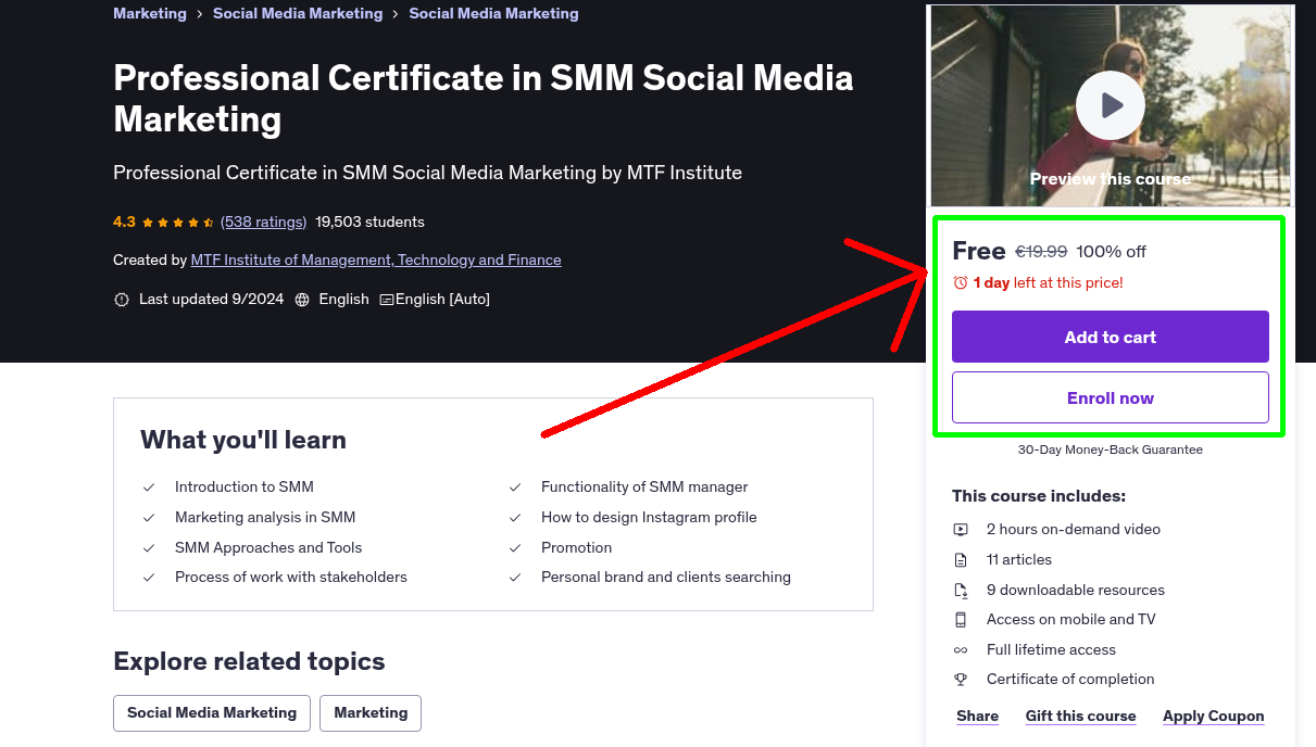 Professional Certificate in SMM Social Media Marketing