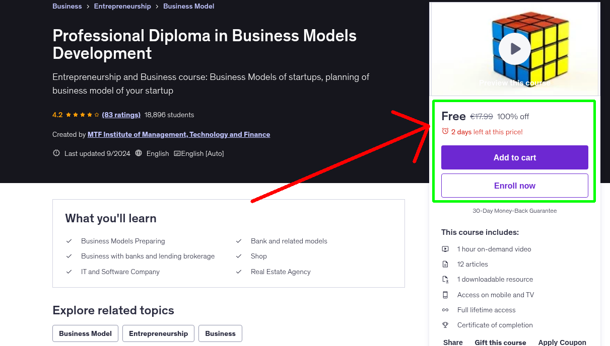 Professional Diploma in Business Models Development