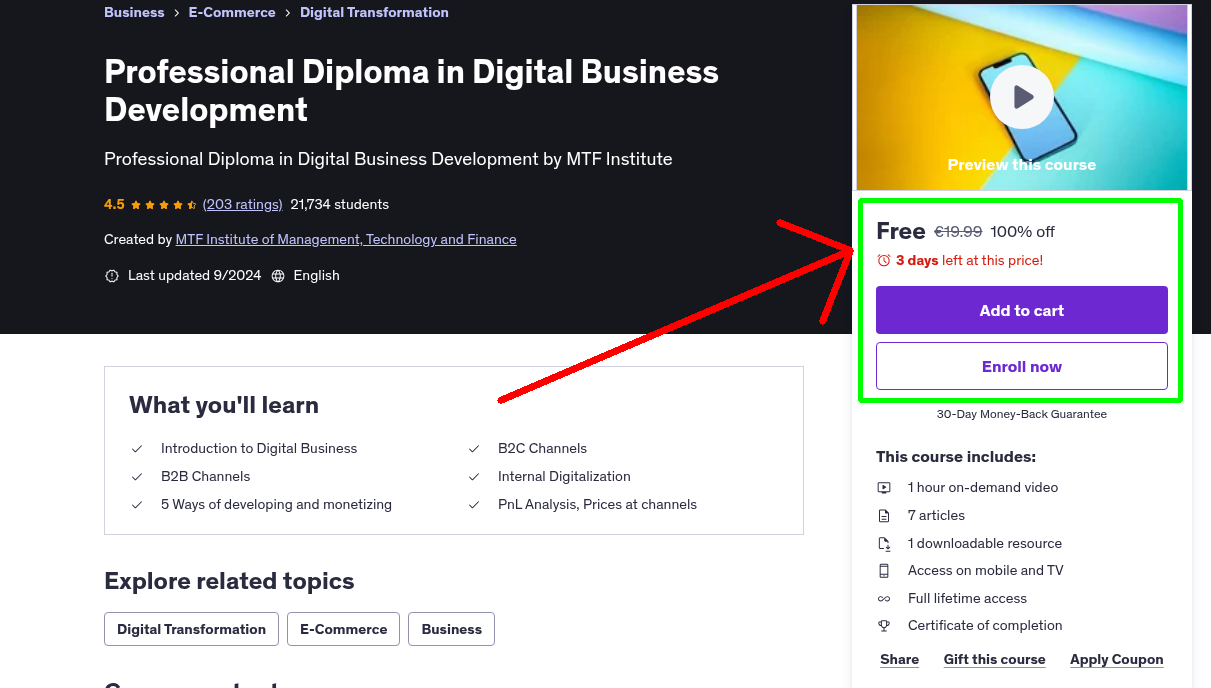 Professional Diploma in Digital Business Development