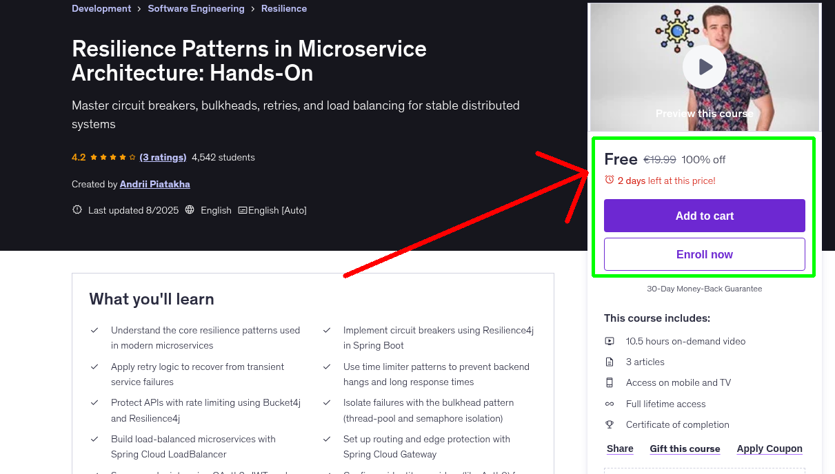 Resilience Patterns in Microservice Architecture: Hands-On