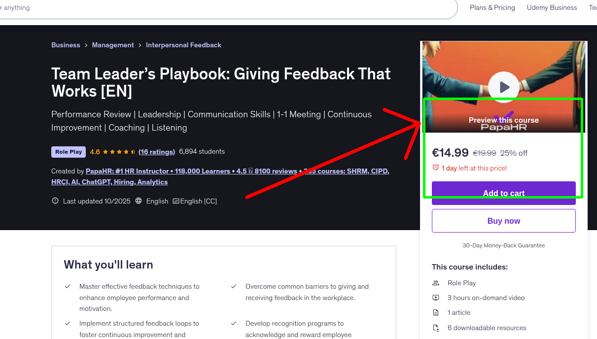 Team Leader’s Playbook: Giving Feedback That Works [EN]