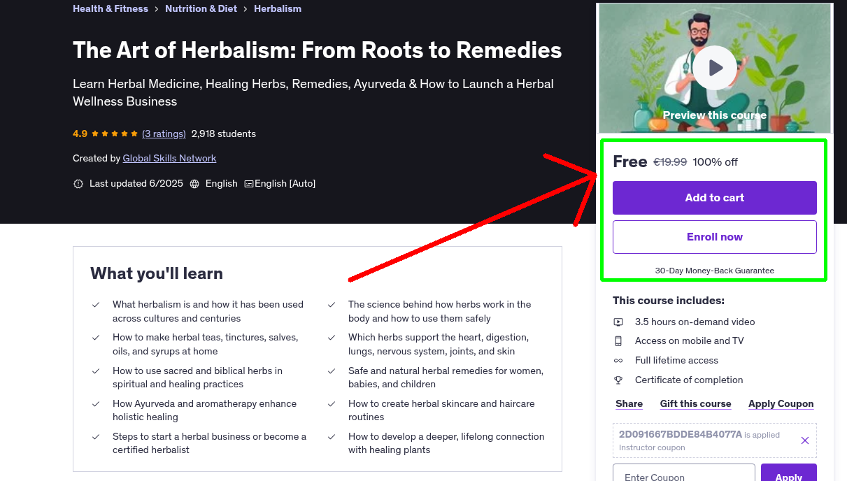 The Art of Herbalism: From Roots to Remedies
