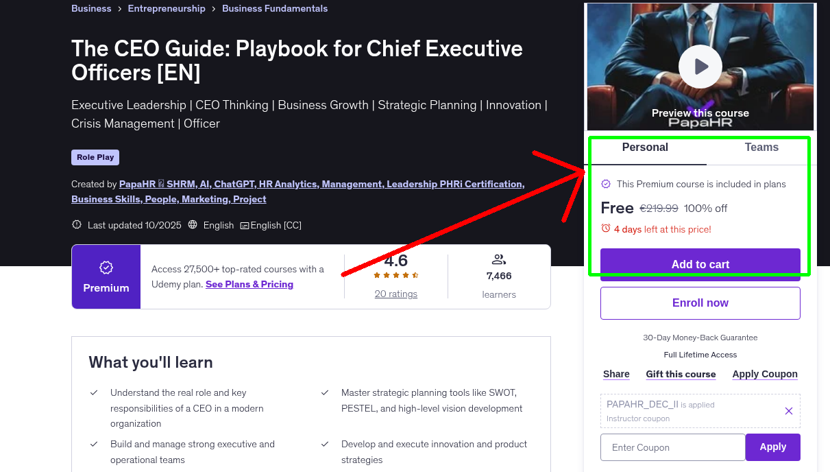The CEO Guide: Playbook for Chief Executive Officers [EN]