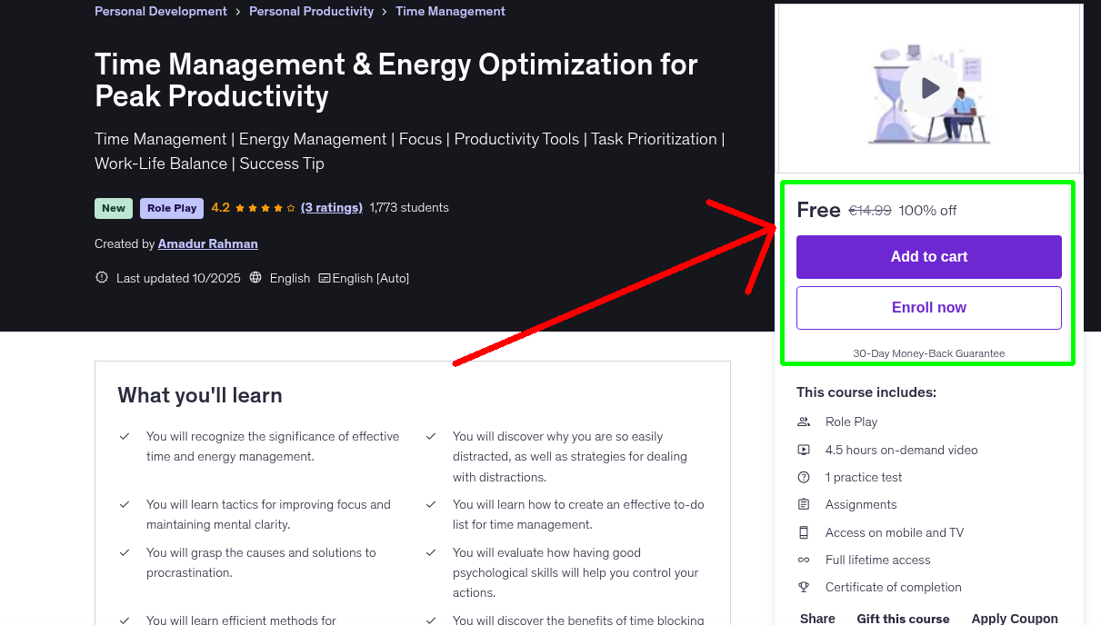 Time Management & Energy Optimization for Peak Productivity