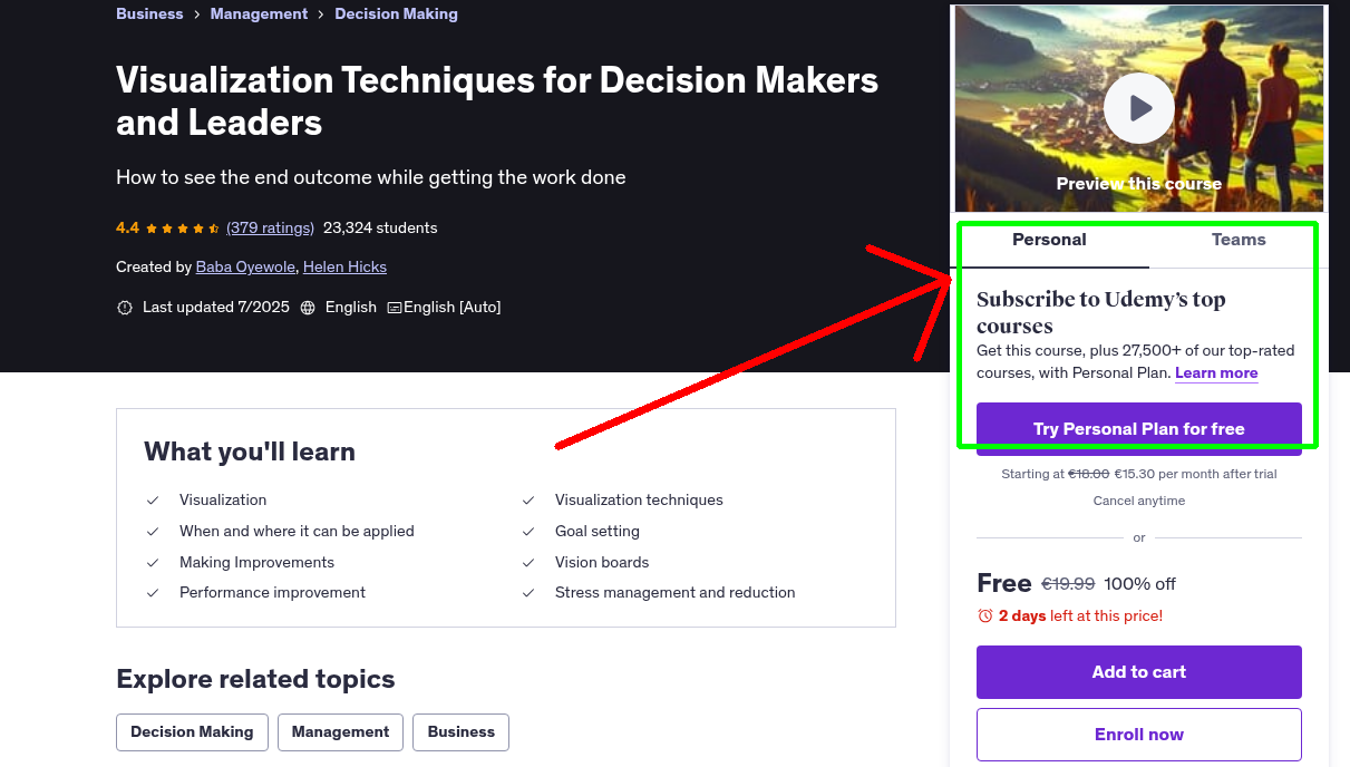 Visualization Techniques for Decision Makers and Leaders