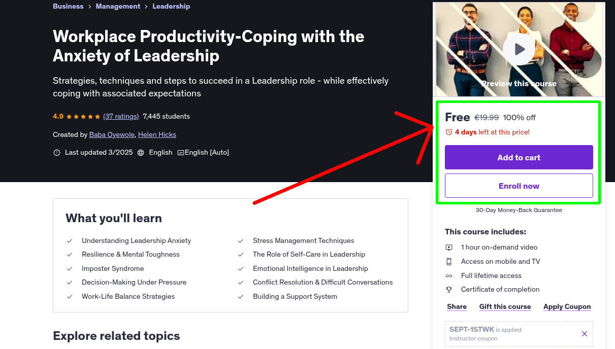 Workplace Productivity-Coping with the Anxiety of Leadership